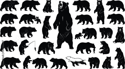 Bear silhouettes vector illustration, wildlife animal poses, black bear shapes on white background, forest creature design, editable nature clipart, standing walking