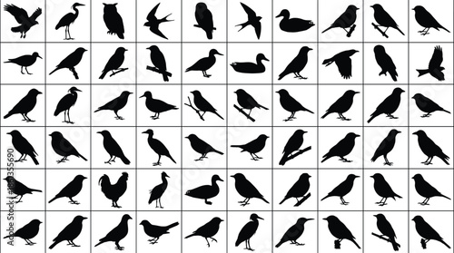 Bird silhouette vector collection, flying birds, perched birds, wildlife illustration, black bird shapes, avian poses, nature art, animal silhouettes, artistic reference, species diversity
