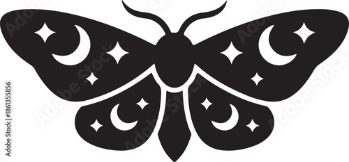 Moth with celestial patterns on wings