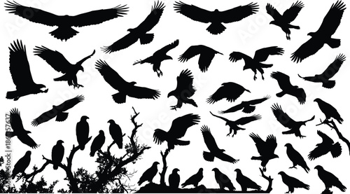 Vulture silhouette vector collection, flying vultures, perched birds, wildlife illustration, black bird shapes, scavenger poses, nature art, animal silhouettes, species diversity, editable design