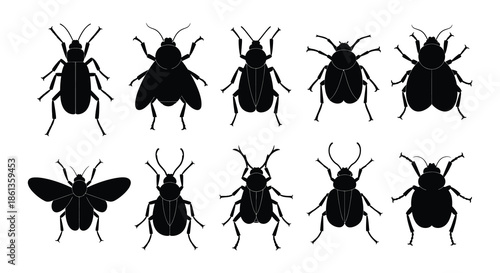 A collection of black silhouette insects including beetles and a moth