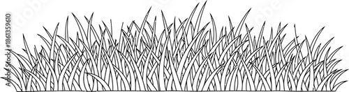 Vector Illustration of Lush Green Grass Border Natural Background Element