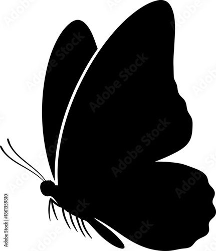 Elegant Black Butterfly Silhouette Vector Art Isolated on White Background