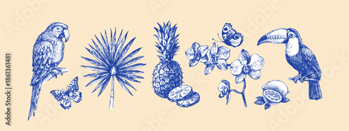 Vintage tropical exotic set. Parrot, toucan, tropical leaves, orchid, butterflies. Coffee, restaurant, food packaging, event decor concept. Hand drawn sketch vector illustration.