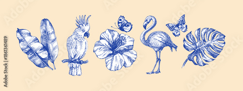 Vintage tropical exotic set. Parrot, toucan, tropical leaves, orchid, butterflies. Coffee, restaurant, food packaging, event decor concept. Hand drawn sketch vector illustration.