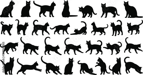 Cat silhouette icon set showing various feline poses and movements, ideal for pet design, animal illustrations, veterinary concepts, and playful domestic cat themes