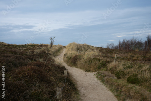 Ein Wanderweg in der Heidelandschaft der Nordseeküste.