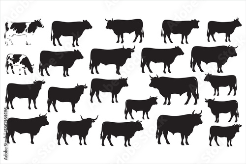 Silhouettes of various cows and bulls in black on a white background