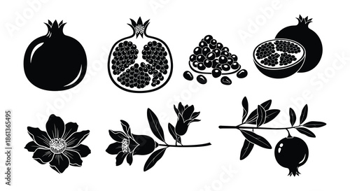 Black and white illustration of pomegranates seeds leaves and floral elements