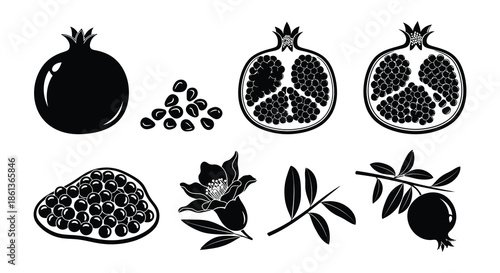 Black and white illustration of pomegranates seeds leaves and floral elements