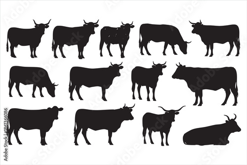 Silhouettes of various cows and bulls in different poses on white background black