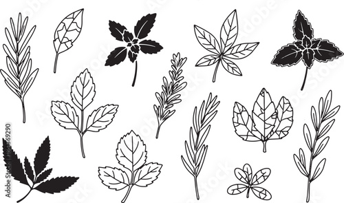 Hand drawn collection of various green leaves and botanical sprigs