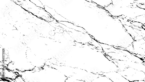 Marble texture with black veins on white background