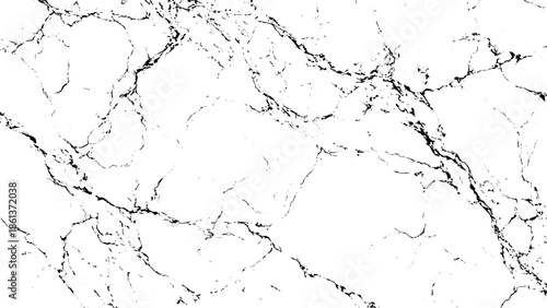 marble texture with gray veins on white background