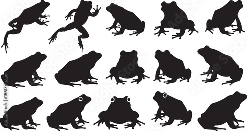 Collection of black frog silhouettes in various poses on white background animal