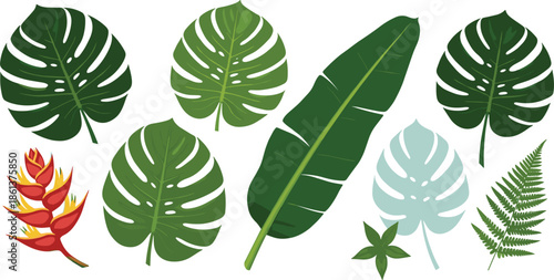 Tropical leaves and botanical elements flat vector set with monstera, banana leaf, fern and exotic plants