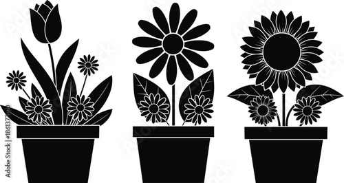 Minimalist black line art icons of flowers in pots, set of tulip daisy and sunflower silhouettes isolated on white background, vector illustration,