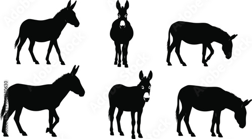 Set of donkey silhouettes, domestic farm animal icons, grazing mule and jackass livestock, beast of burden shapes, rural agriculture vector, equine wildlife.