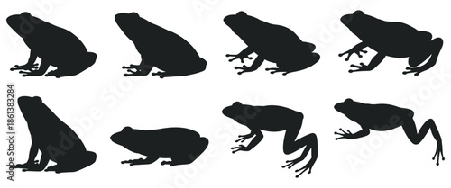 Frog Silhouettes A Collection of Amphibian Poses and Movements