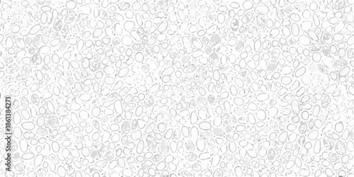 A close up view of numerous small white irregularly shaped objects