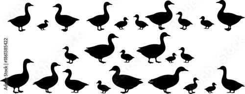 Black Duck and Duckling Silhouette Collection with Various Waterfowl Poultry and Farm Bird Icons Isolated on White Background for Design