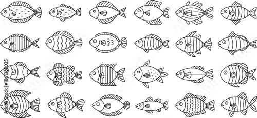 Set of Twenty Four Hand Drawn Fish Vector Icons in Minimalist Black Line Art Style for Aquarium and Seafood Branding