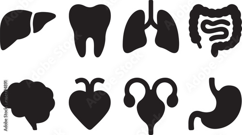 Healthcare Glyph Icon. Internal Organ Anatomy Black Pictogram. Human Brain, Intestine, Urinary System, Tooth, Stomach, Lung, Liver, Heart Silhouette Icon Set. Isolated Vector Illustration