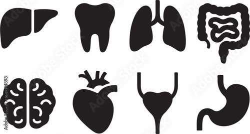 Healthcare Glyph Icon. Internal Organ Anatomy Black Pictogram. Human Brain, Intestine, Urinary System, Tooth, Stomach, Lung, Liver, Heart Silhouette Icon Set. Isolated Vector Illustration