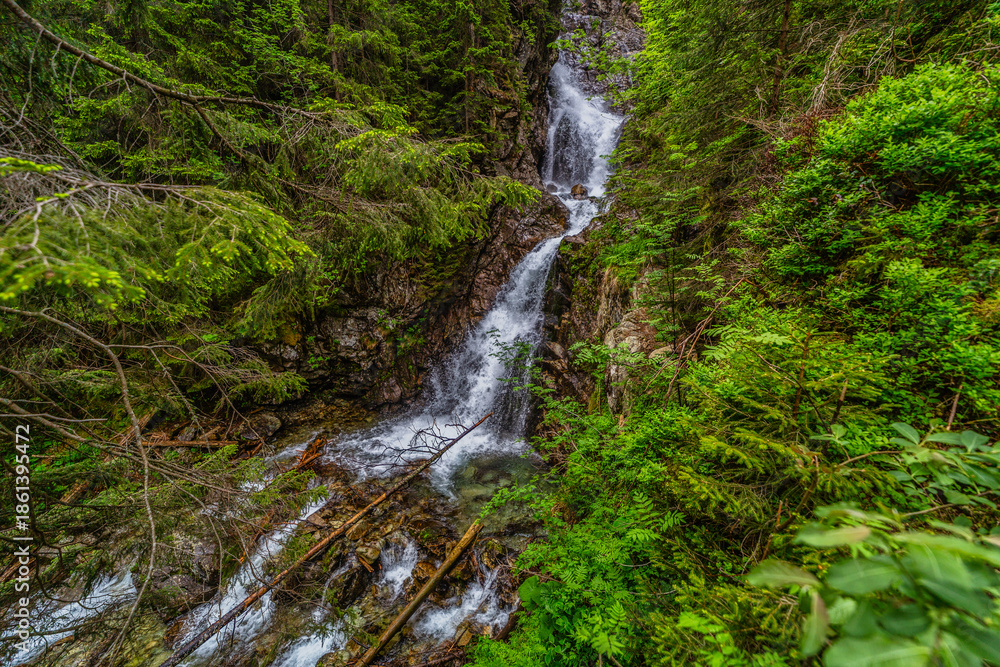 Fototapeta premium Powerful mountain stream flowing through a dense coniferous forest in the High Tatras. Kmetov waterfall (Kmeťov vodopád) surrounded by mossy rocks and fallen trees in the Nefcerka valley, Slovakia.