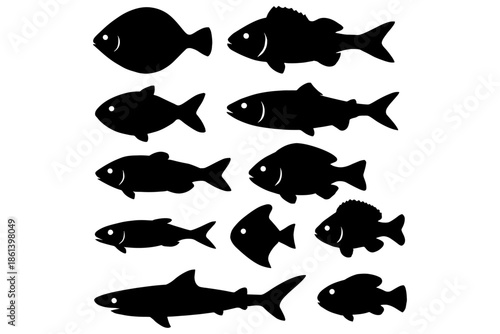 set of fish silhouettes,
Fish Vector Silhouettes – Educational & Creative Ocean Design