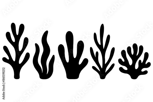 vector illustration of Seaweed Coral ,
Seaweed Coral Silhouette – Black Vector Icon for Ocean & Reefs