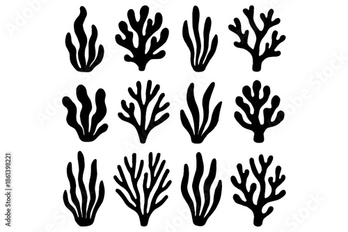 vector hand drawn Seaweed Coral,
Seaweed Coral Silhouette – Black Vector Icon for Ocean & Reef Design