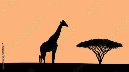 Silhouette of giraffe standing next to tree at sunset