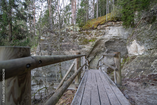 wooden bridge in the forest