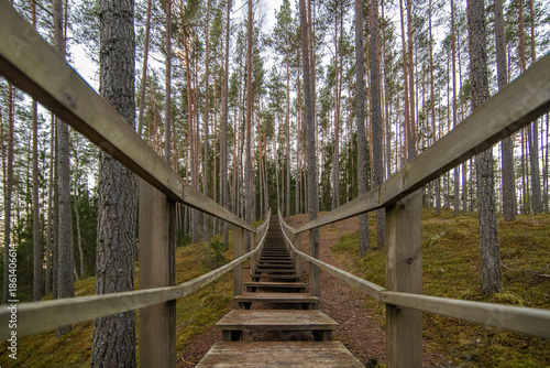 old wooden bridge