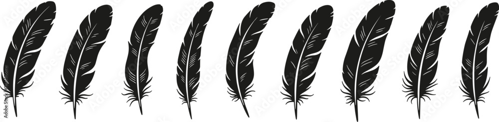 Obraz premium Elegant black feather silhouette collection featuring various bird plume shapes for bohemian decor, tribal art designs, writing quill symbols, and nature-inspired graphics.
