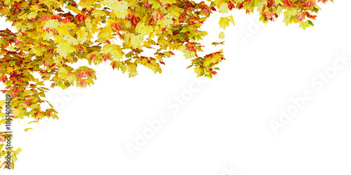 Autumn Leaves Cluster in Upper Left Corner on White Background