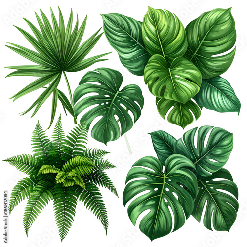 Assortment of detailed, vibrant green tropical plant leaves isolated on a black background