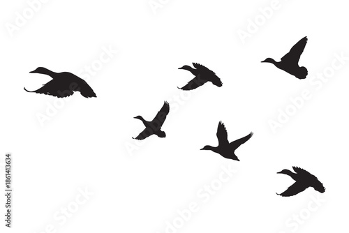 Flying duck flock silhouette isolated on a white background vector illustration