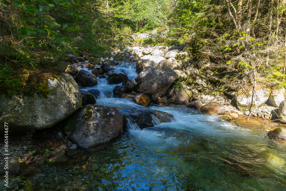Obraz premium A clear mountain stream flowing over large mossy boulders in a sunlit forest. Captured in the High Tatras National Park, Slovakia, showcasing the pristine wilderness and natural water flow.