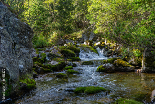 Obraz na plátně A close-up view of a clear mountain creek flowing over moss-covered stones