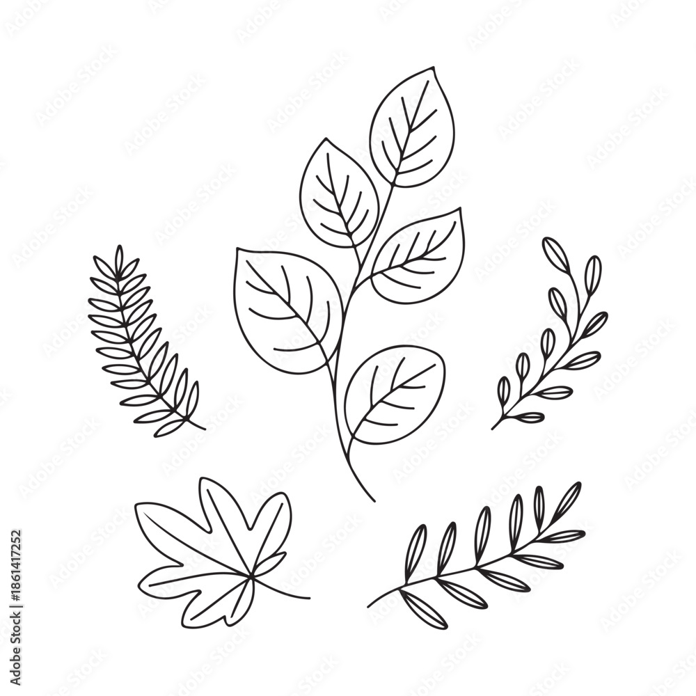 Fototapeta premium Hand Drawn Botanical Leaves Vector Set