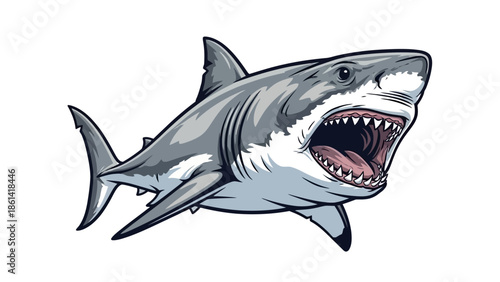 Great White Shark with Open Mouth and Sharp Teeth.