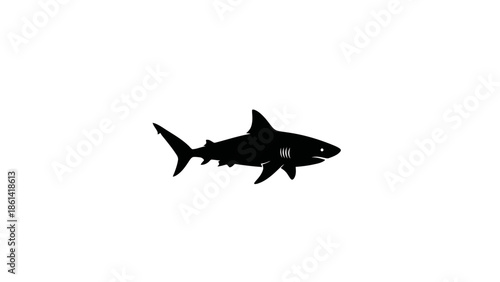 Shark Silhouette on White Background.