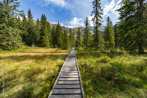 A long wooden boardwalk leads through a sunny alpine meadow toward mountain peaks. Captured in High Tatras National Park near Hladke sedlo, featuring evergreen trees and a bright blue sky