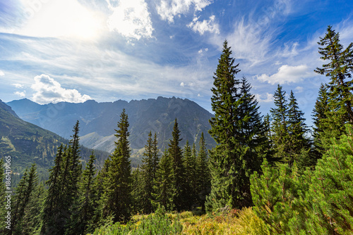 A stunning mountain landscape featuring sharp rocky peaks and a dense spruce forest under a blue sky with wispy clouds. Captured near Hladke sedlo in the High Tatras National Park, Slovakia.