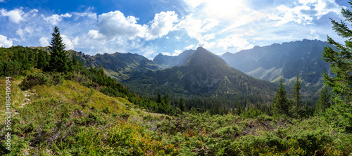 Breathtaking panoramic view of the High Tatras mountains in Slovakia. Deep mountain valleys and jagged rocky peaks under a bright blue sky, captured near Hladke sedlo during summer.