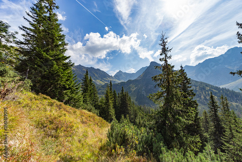 A stunning mountain landscape featuring sharp rocky peaks and a dense spruce forest under a blue sky with wispy clouds. Captured near Hladke sedlo in the High Tatras National Park, Slovakia.