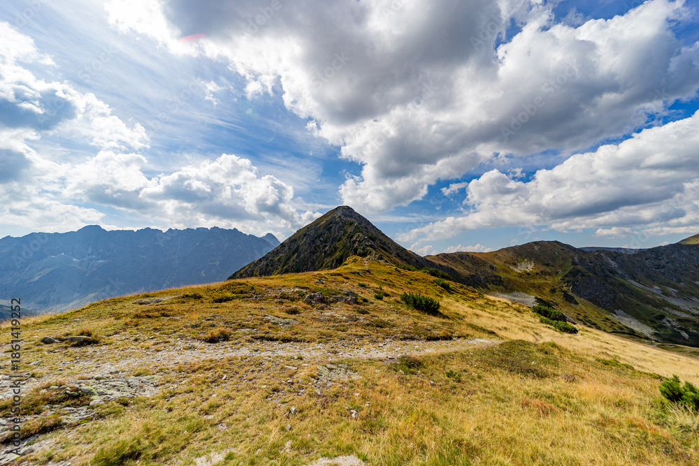 Fototapeta premium A panoramic view of vast mountain meadows and jagged rocky peaks in the High Tatras National Park. Captured near Hladke sedlo, showcasing the wild beauty of the Slovak mountains under a cloudy sky.