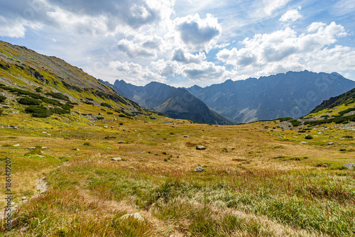 A panoramic view of vast mountain meadows and jagged rocky peaks in the High Tatras National Park. Captured near Hladke sedlo, showcasing the wild beauty of the Slovak mountains under a cloudy sky.